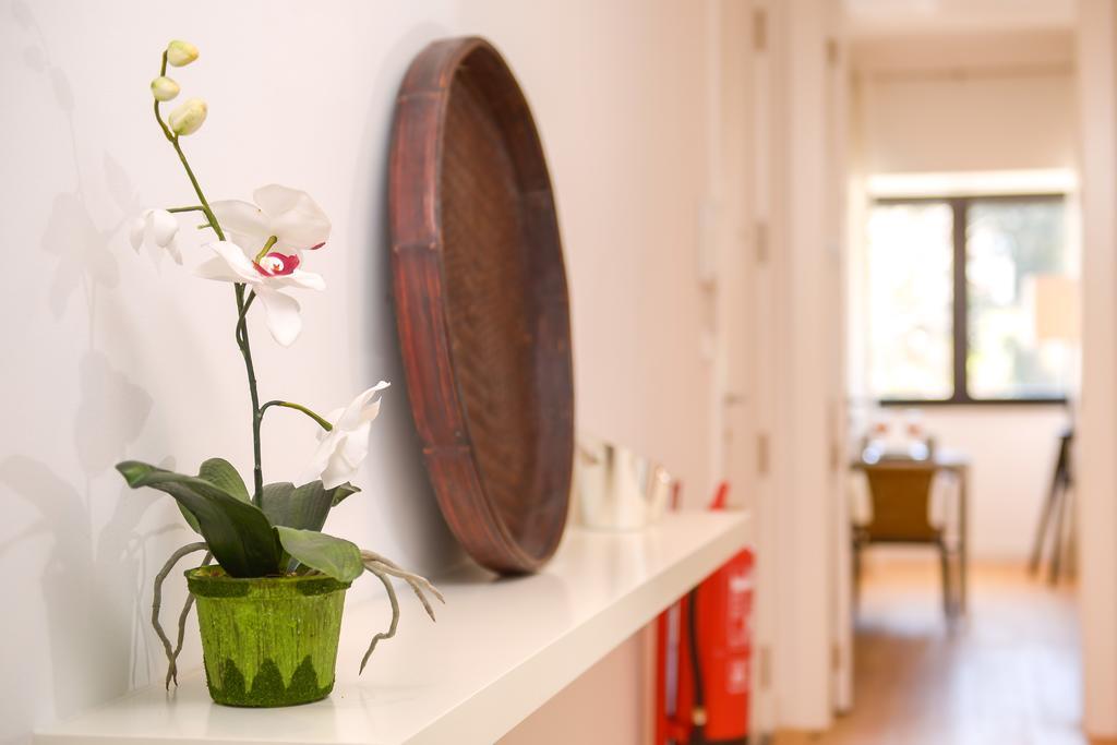 Center Garden Luxury Apartment Lisboa Eksteriør billede